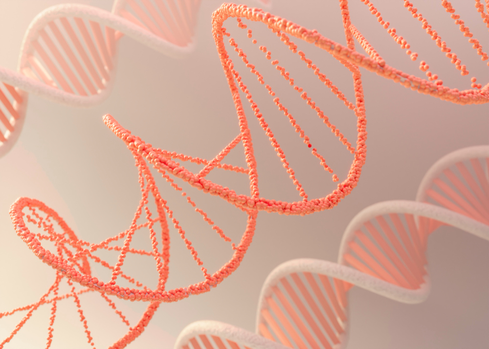 MMP com DNA de Salmão: o procedimento que revoluciona a qualidade da pele