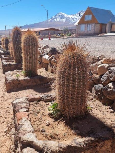 Chile e Deserto do Atacama