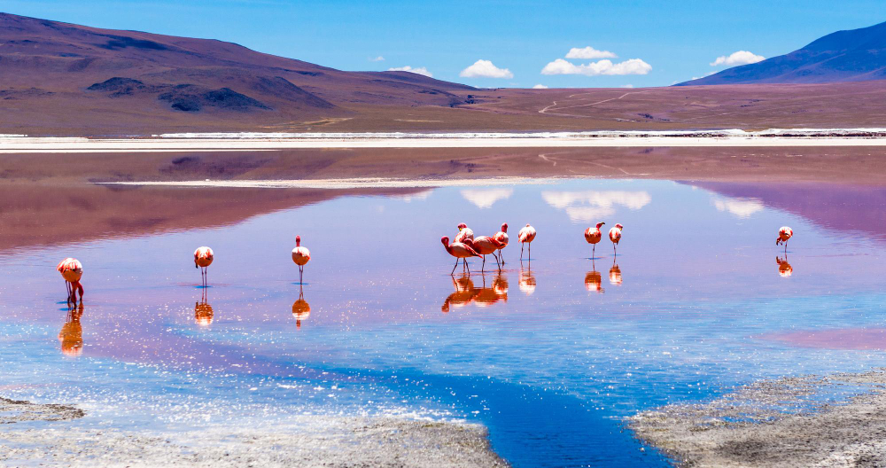 Chile e Deserto do Atacama, imagem 12