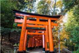 Tesouros do Oriente, imagem 9
