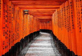 Tesouros do Oriente, imagem 10